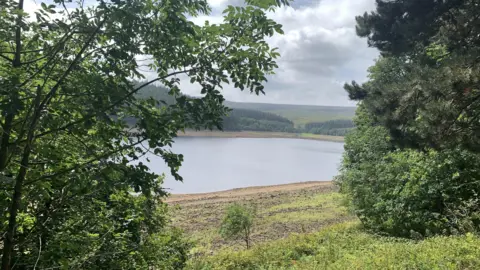Mick Lunney/BBC A picturesque reservoir pictured from between two large trees. A grass bank leads onto the water. More trees and grassland can be seen in the far distance.