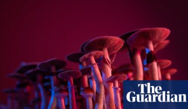 On Drugs by Justin Smith-Ruiu review – a philosopher’s guide to psychedelics | Philosophy books