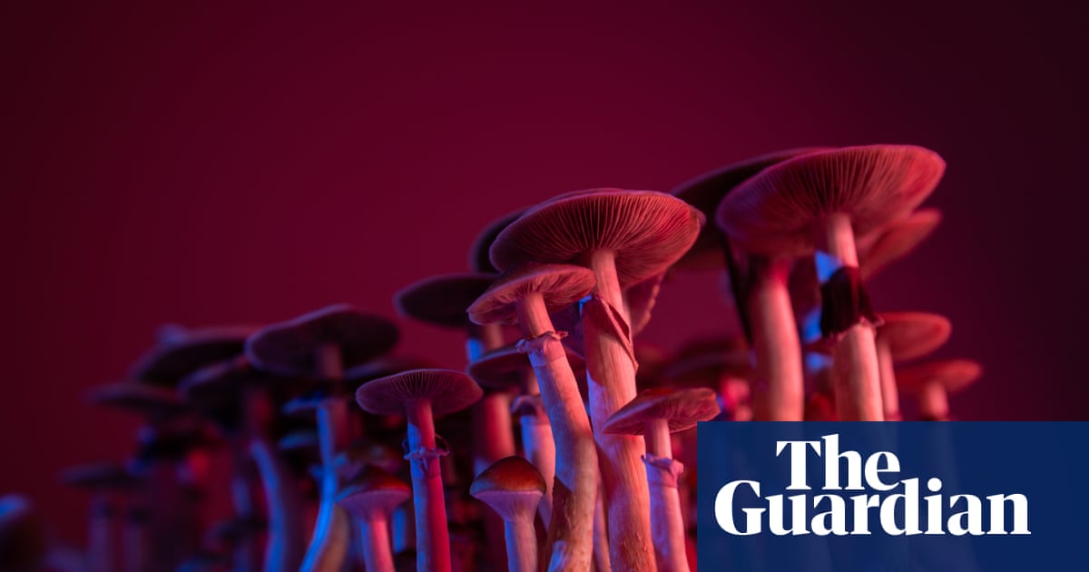 On Drugs by Justin Smith-Ruiu review – a philosopher’s guide to psychedelics | Philosophy books