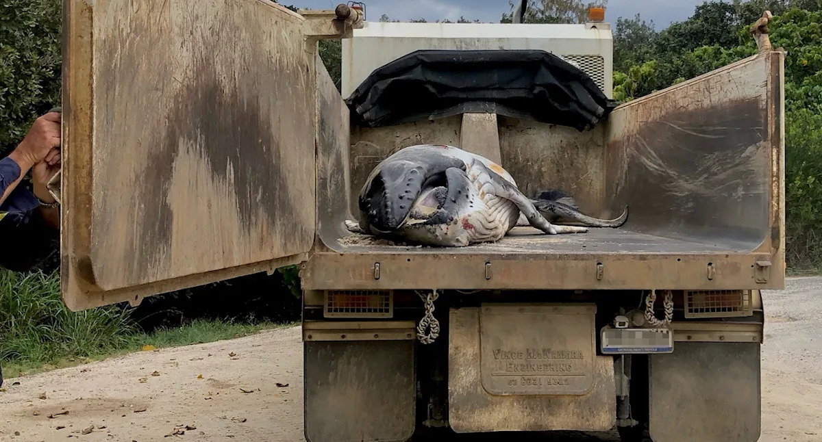 Truck photo sparks fears over annual Aussie event: 'Such a sad end'