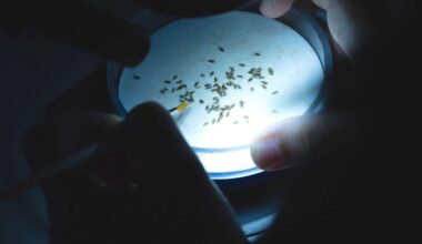 Targeting ALS through collaboration across continents