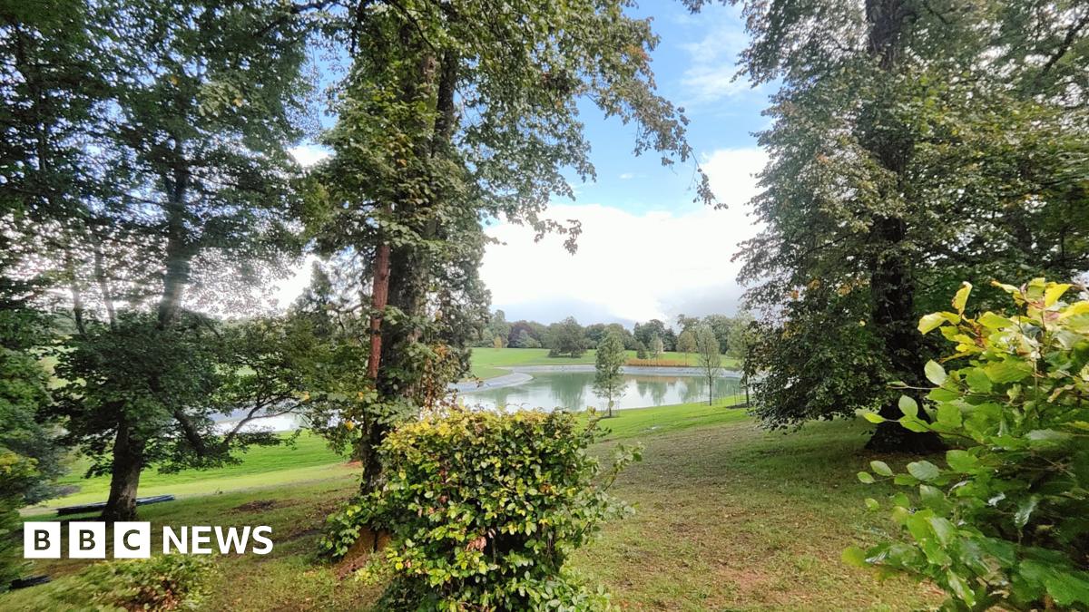 The lake at Conholt Park surrounded by trees.