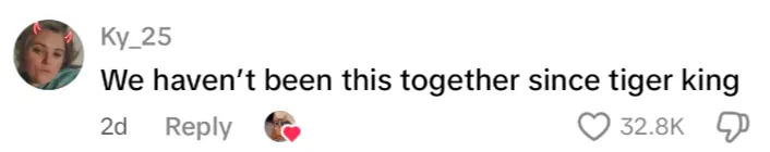 Comment says, "We haven't been this together since tiger king," with 32.8K likes and a heart emoji reply