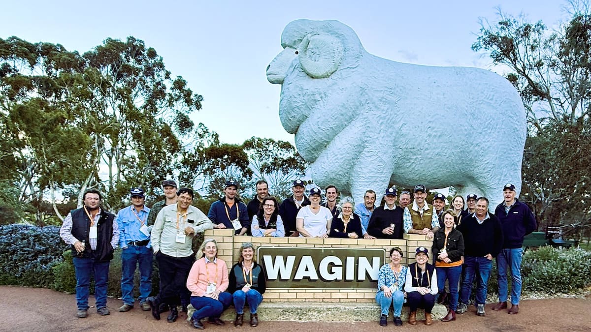 NZ farmers eye new opportunities after Western Australia sheep and wool tour