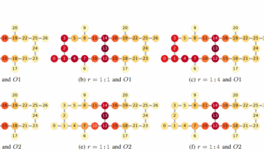 Qubit Utilization Patterns in Noisy Intermediate-Scale Quantum Computers Reveal Unequal Physical Qubit Reliance