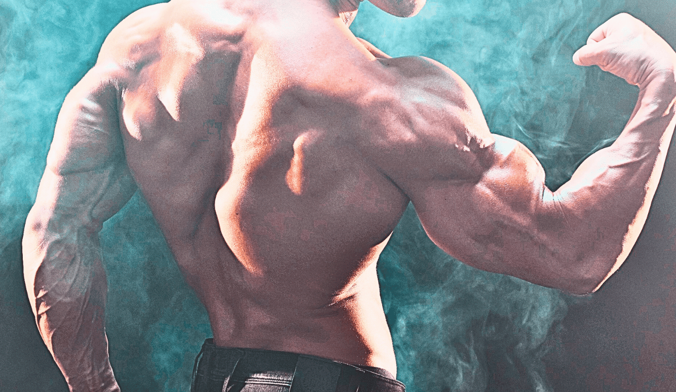 A review of Muscle Man by Jordan Castro