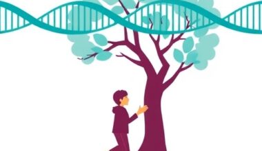 Genetic and Environmental Factors Combine to Induce DSD