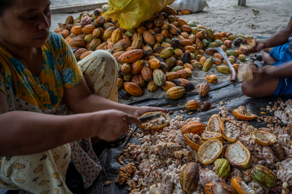 Indonesia urges EU support on deforestation rules