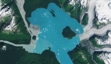 A satellite photograph of Alsek Lake and the new island of Prow Knob as Alsek Glacier retreats.