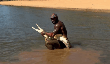 ‘Crocodile hunter’ Steve Irwin’s father slams American influencer for reckless crocodile stunts