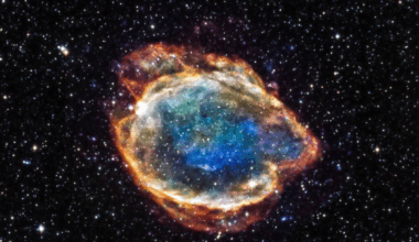 Brighter Side of News