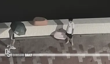 Two men cause public outcry by pushing park stools into Shing Mun River during Super Typhoon Ragasa