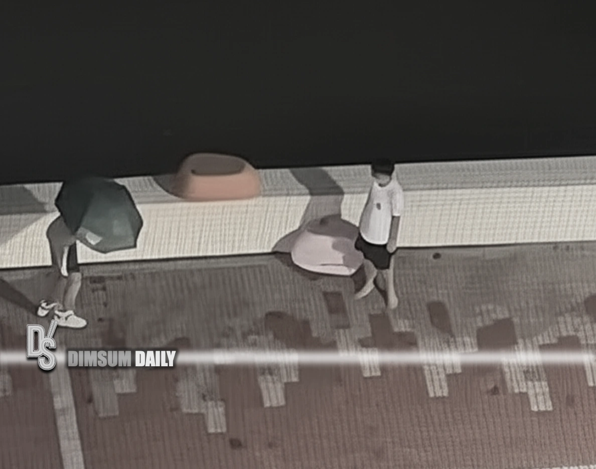 Two men cause public outcry by pushing park stools into Shing Mun River during Super Typhoon Ragasa