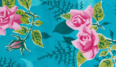 On Barbara Pym’s The Sweet Dove Died ‹ Literary Hub