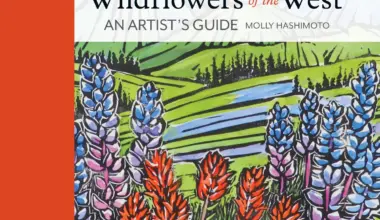 Roundabout Books Hosts Northwest Artist and Author Molly Hashimoto  - The Source