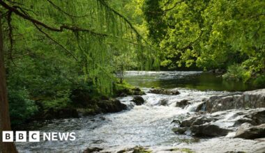 Drought status lifted in Wales after rainy September
