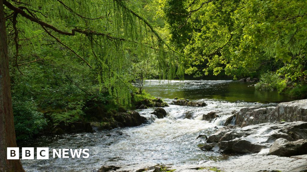 Drought status lifted in Wales after rainy September