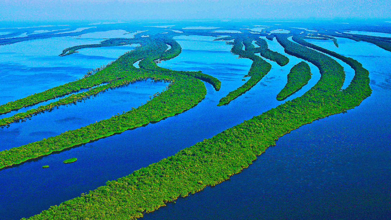 amazon river