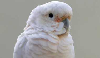 Yahoo lifestyle home