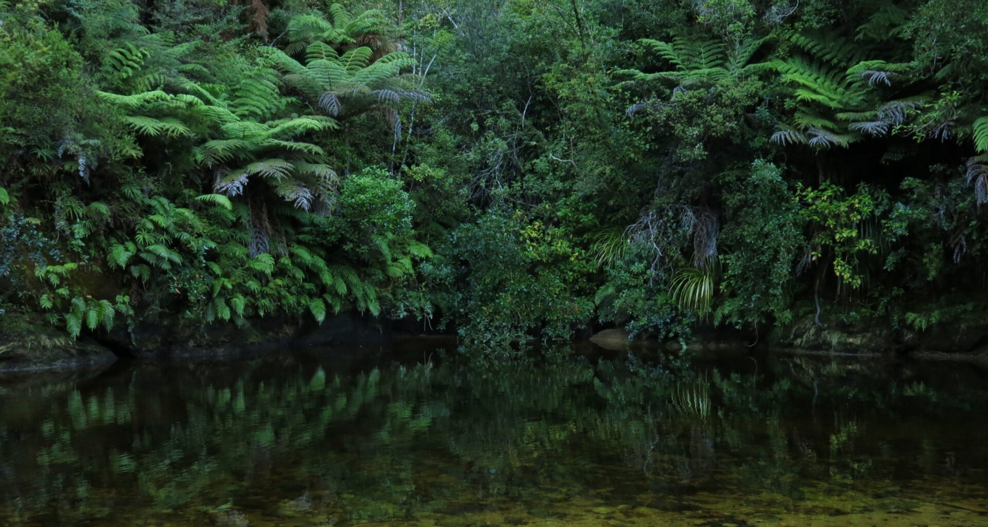 Book of the Week: Abducting children into the bush