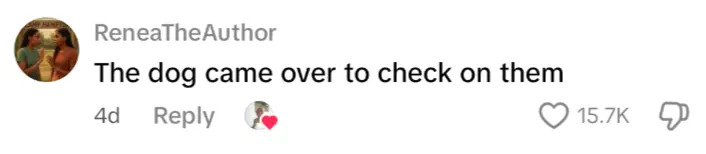 Social media post with text: "The dog came over to check on them." It has 15.7K likes