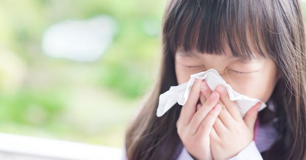 El Niño's hidden role in hay fever season