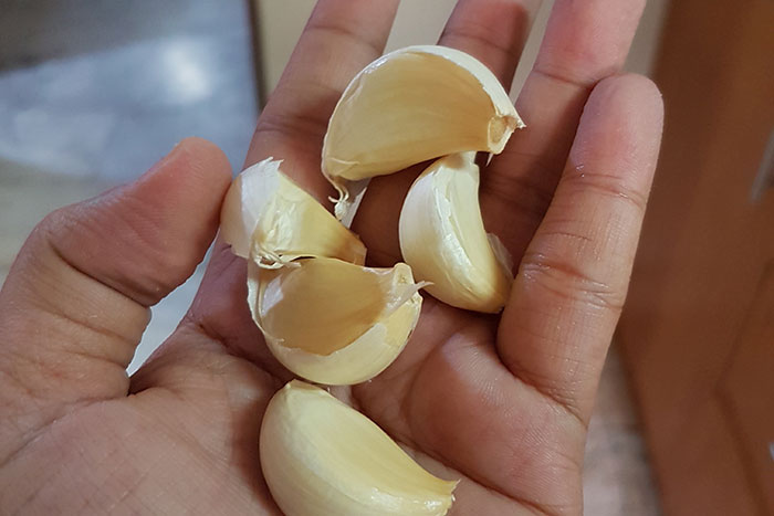 Hand holding several garlic cloves, illustrating a common ridiculous cure offered to chronically ill people.