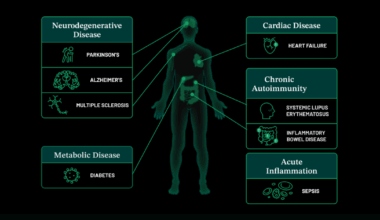 Ways Continuous Protein Monitoring Could Change Healthcare