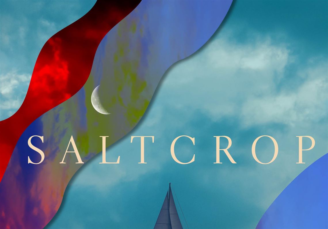 Joshua M. Patton: Salting the earth