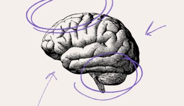 5 brilliant books to demystify the brain