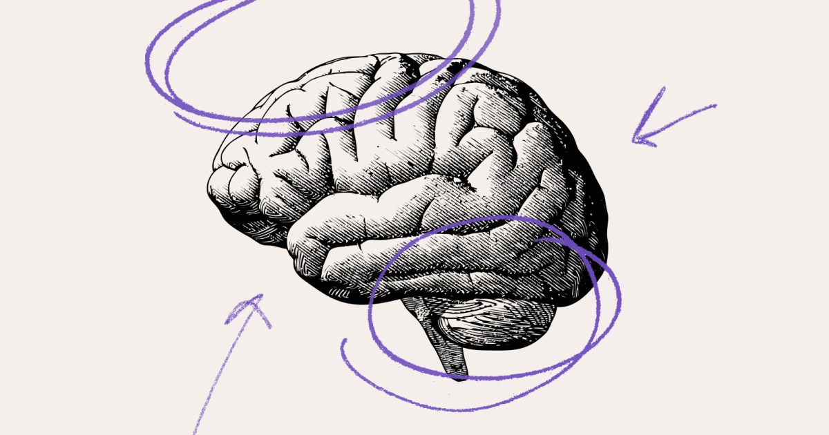 5 brilliant books to demystify the brain