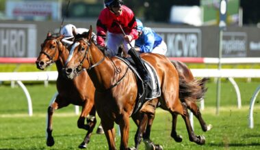 Apocalyptic is looking to continue her run on Saturday. Picture: Jeremy Ng/Getty Images