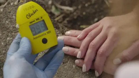 A yellow ammonia checker which has an LED display reading 99.9 on it. The person holding it is wearing blue plastic gloves and a woman's pair of hands are resting on the rock beneath.