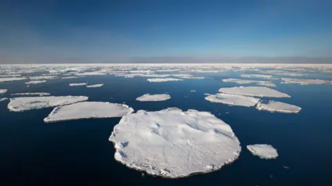 Getty Images Chunks of bright white floating ice in the deep blue ocean, with light blue sky above