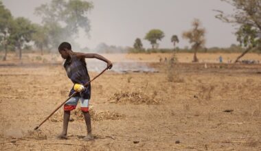 evidence from Ghana and Senegal