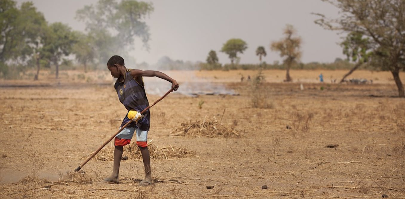 evidence from Ghana and Senegal