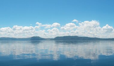 Lakeshore shallows can be biodiversity hotspots – but warming is changing their complex ecology