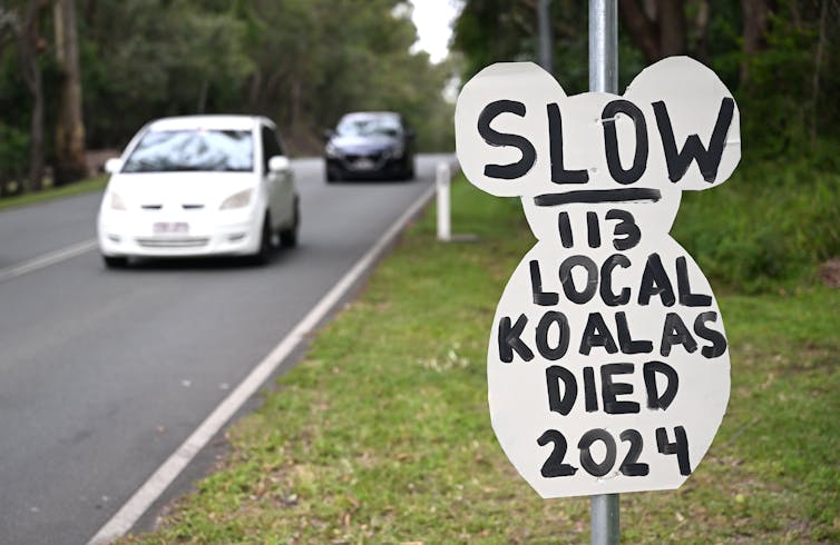 A roadside sign that says 'Slow. 113 local koalas died 2024'