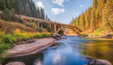 Rivers are heating up faster than the air − that’s a problem for aquatic life and people