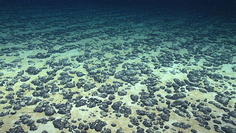Lumps on ocean floor