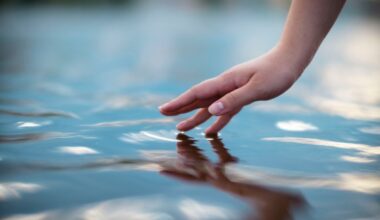 Discover Magazine Logo