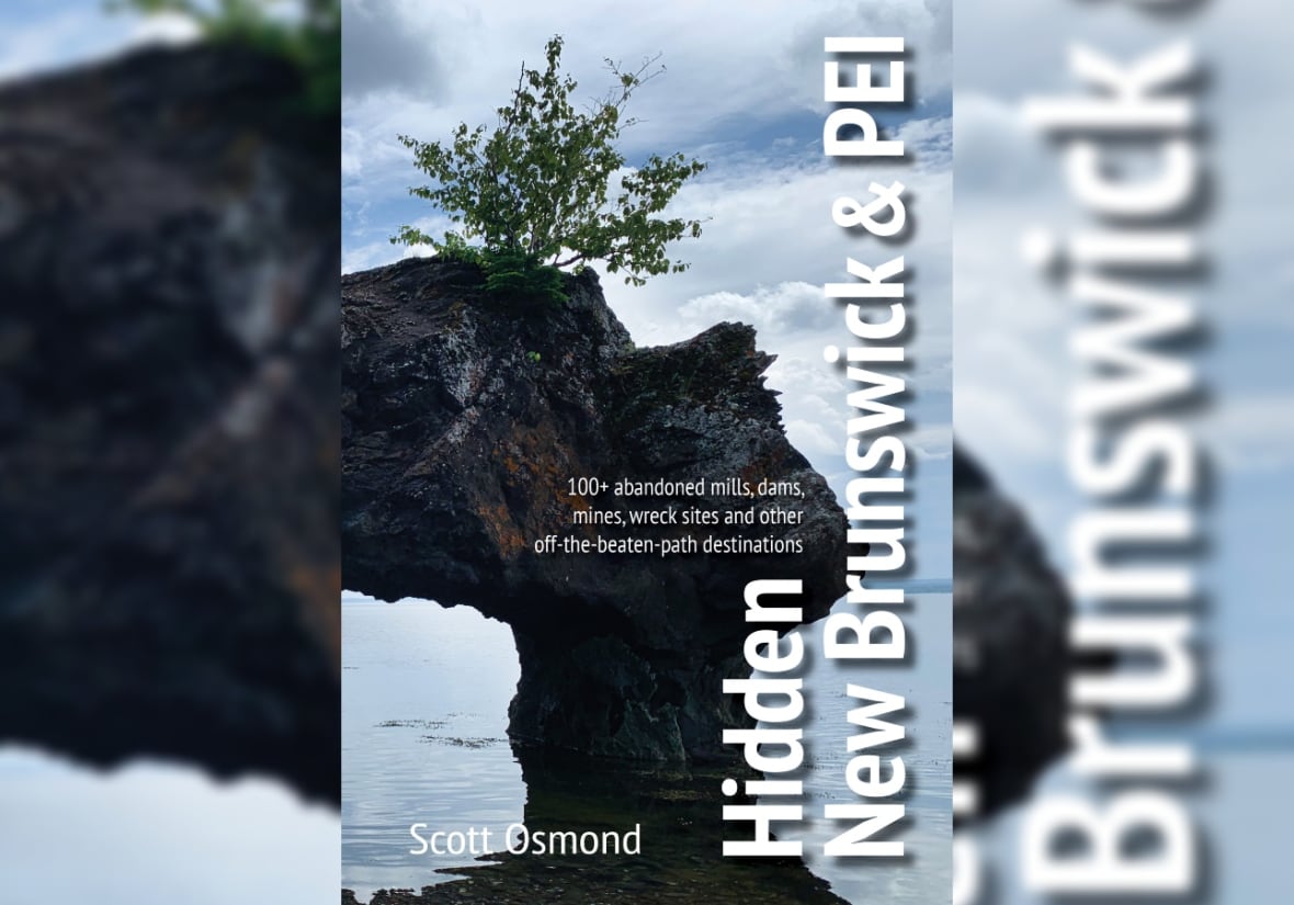 A book cover with a picture of the Hopewell Rocks