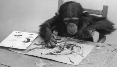Today in History - September 17: Chimpanzee blows the minds of art critics