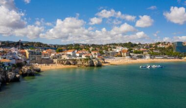Orcas sink tourist yacht off Portugal’s coast in latest attack