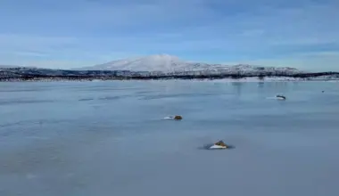 Ice dissolves iron more effectively than liquid water