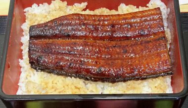 Study finds 99% of eel products worldwide come from endangered species