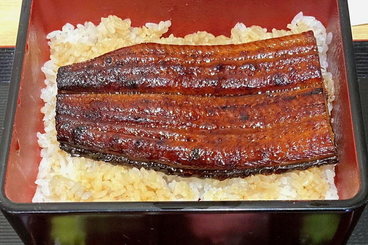 Study finds 99% of eel products worldwide come from endangered species