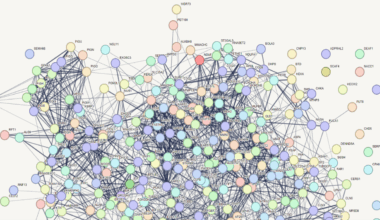 Kini Group Image.png