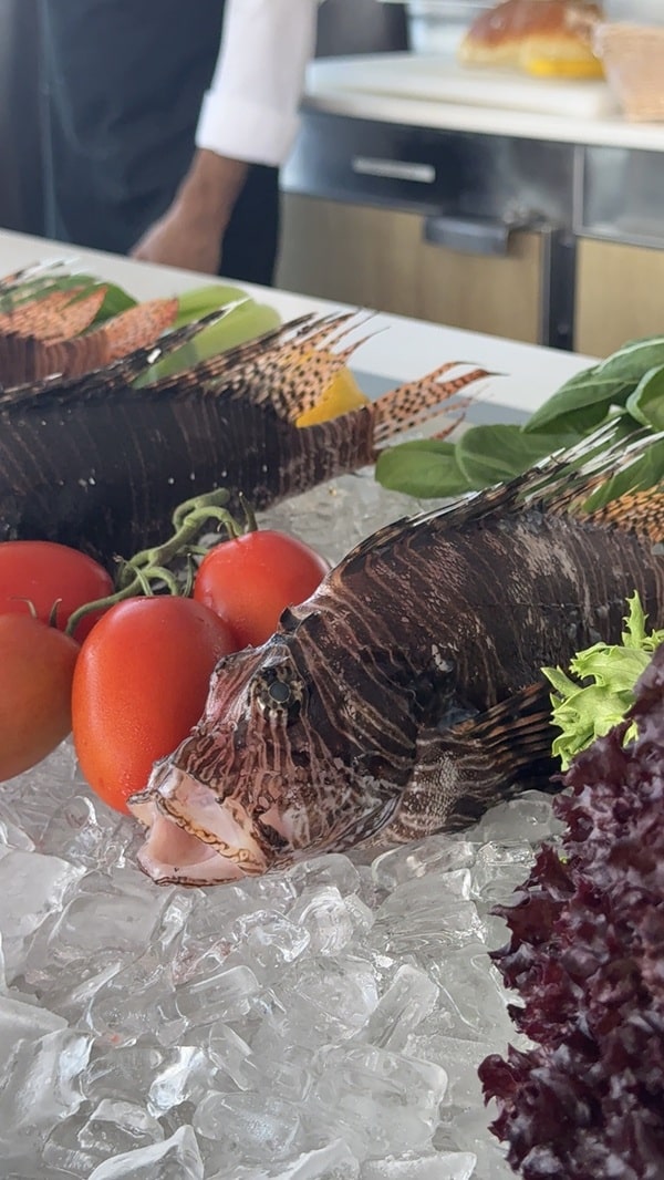 Lionfish dishes