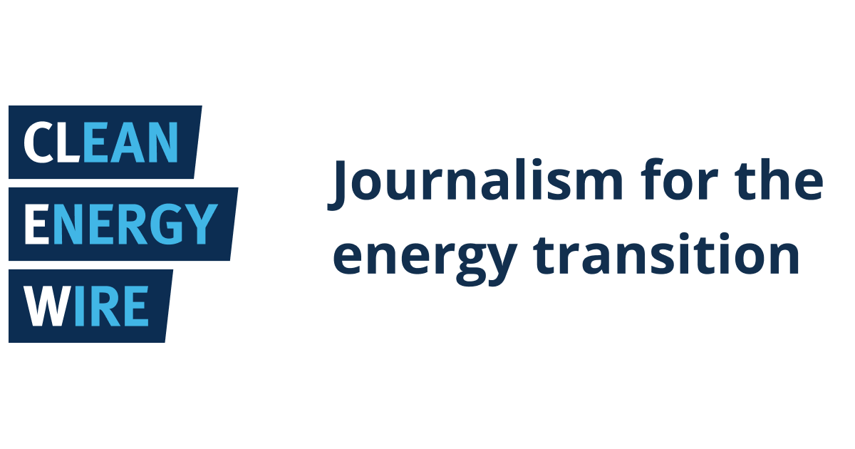 Merz signals Germany may scale back plans for renewable rollout to cut costs